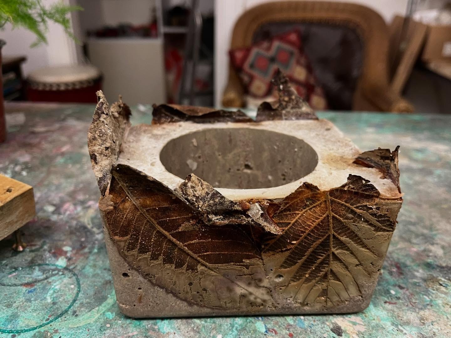 Leaves surrounding a newly cast concrete pot in the studio